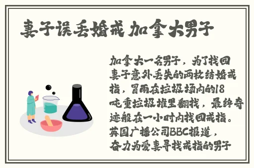 天美果冻星空大象视频